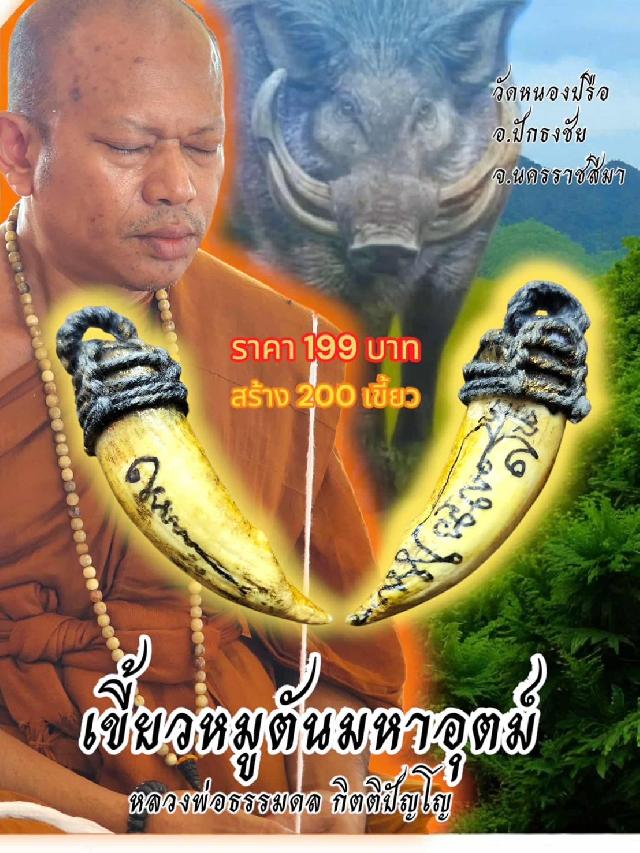 เขี้ยวหมูตันมหาอุตม์ หลวงพ่อธรรมดล กิตติปัญโญ วัดหนองปรือ อ.ปักธงชัย จ.นครราชสีมา เปิดจองครับ