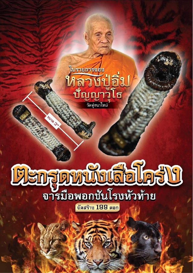 ตะกรุดจารมือ  ยันต์หัวใจเสือ มีชิ้นหนังเสือโคร่ง ผูกด้วยสายสิญจน์ของหลวงปู่อิ่มที่ผ่านการเข้าพิธีเสกมาแล้วหลายพิธี