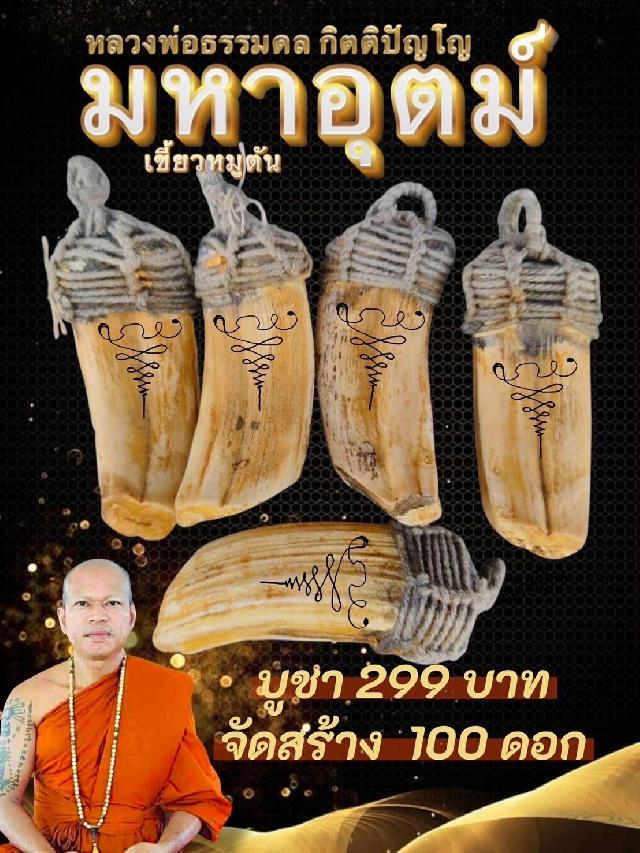 หมูตัน” รุ่น มหาอุตม์ ✨ เมตตาอธิษฐานโดย หลวงพ่อธรรมดล กิตติปัญโญ เปิดของครับ