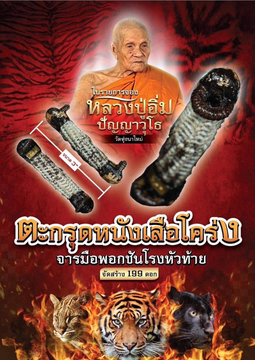 ตะกรุดจารมือ ยันต์หัวใจเสือ มีชิ้นหนังเสือโคร่ง ผูกด้วยสายสิญจน์ของหลวงปู่อิ่มที่ผ่านการเข้าพิธีเสกมาแล้วหลายพิธี