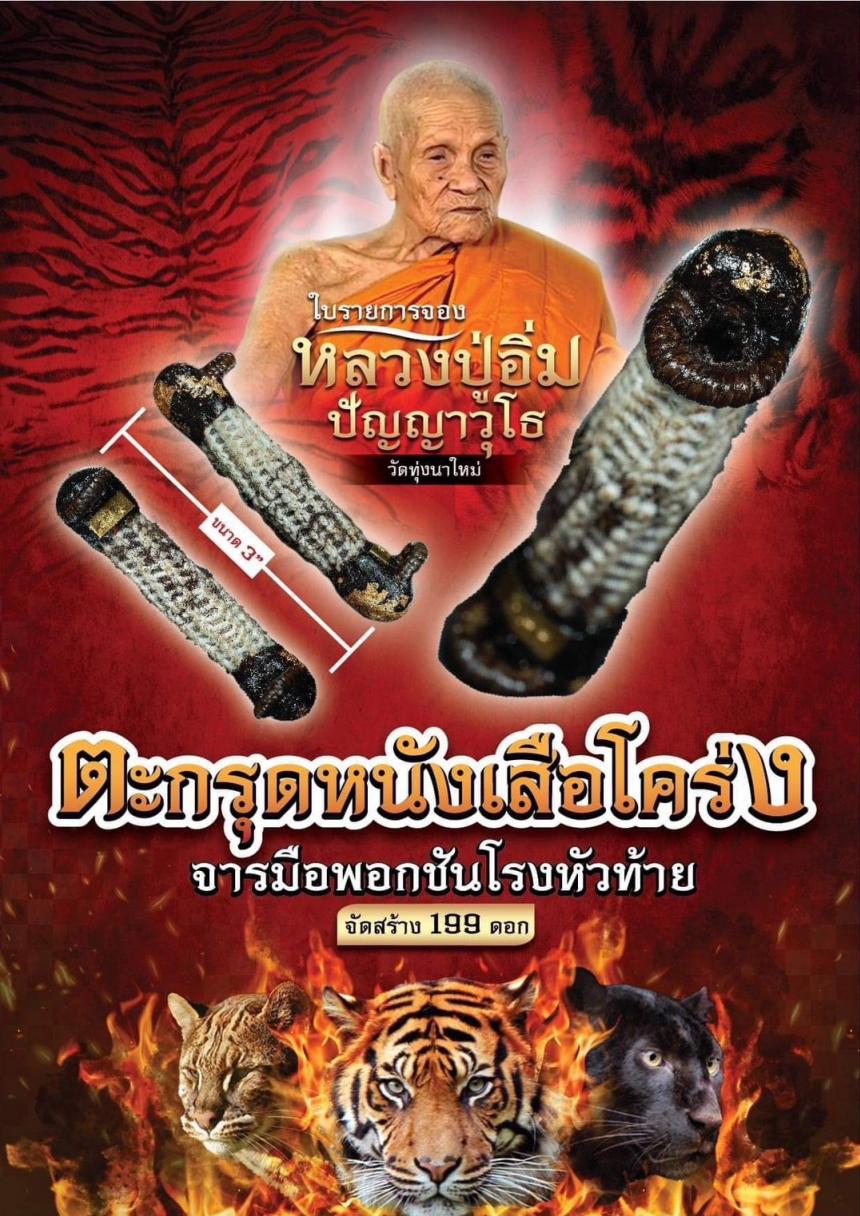 ตะกรุดจารมือ  ยันต์หัวใจเสือ มีชิ้นหนังเสือโคร่ง ผูกด้วยสายสิญจน์ของหลวงปู่อิ่มที่ผ่านการเข้าพิธีเสกมาแล้วหลายพิธี