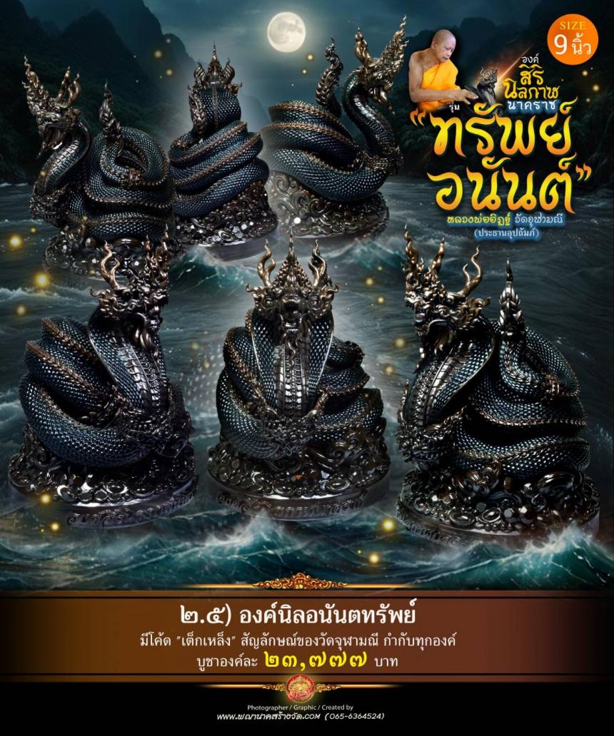 องค์เทวปฏิมาพุทธศิลป์นาคราช
