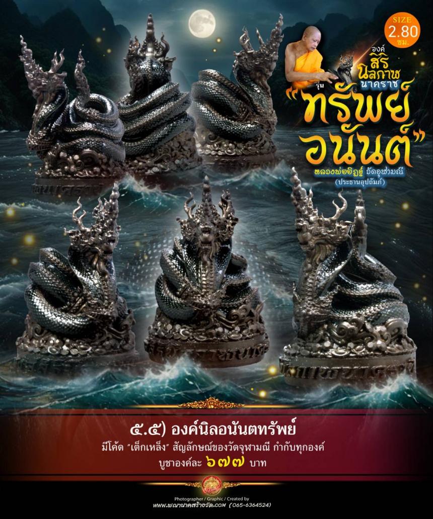 องค์เทวปฏิมาพุทธศิลป์นาคราช