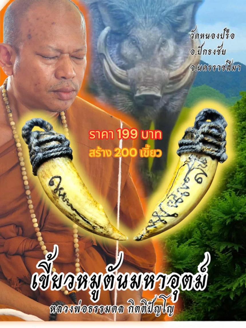 เขี้ยวหมูตันมหาอุตม์ หลวงพ่อธรรมดล กิตติปัญโญ วัดหนองปรือ อ.ปักธงชัย จ.นครราชสีมา เปิดจองครับ