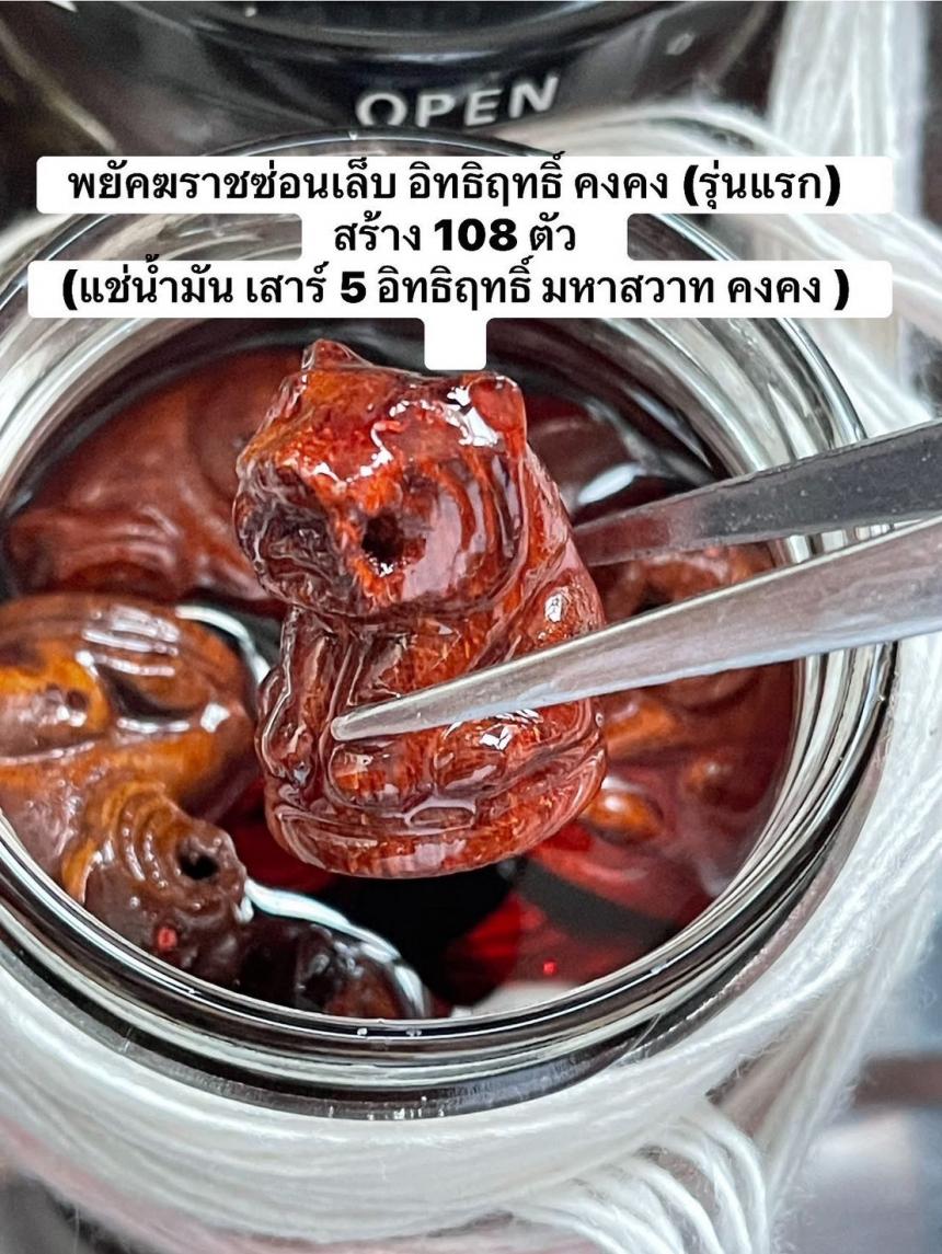พยัคฆราชซ่อนเล็บ อิทธิฤทธิ์ คงคง (รุ่นแรก)  สร้าง 108 ตัว  เปิดจองครับ