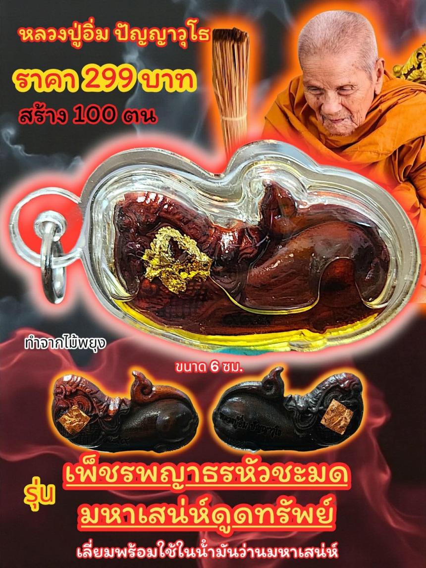 หลวงปู่อิ่ม ปัญญาวุโธ วัดทุ่งนาใหม่ อ.พิปูน จ.นครศรีธรรมราช  เปิดจองครับ