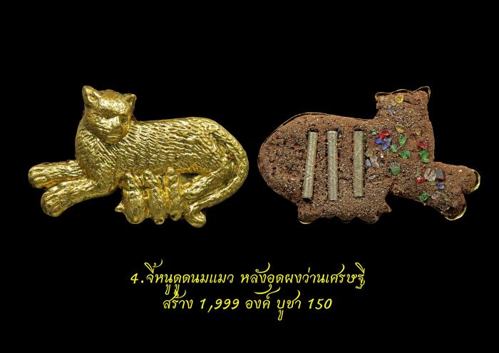 หลวงปู่ถ้า อนาลโย วัดป่าทศพลมังคลาราม จ.ร้อยเอ็ด บูชาได้แล้วครับ