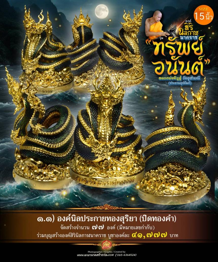 องค์เทวปฏิมาพุทธศิลป์นาคราช
