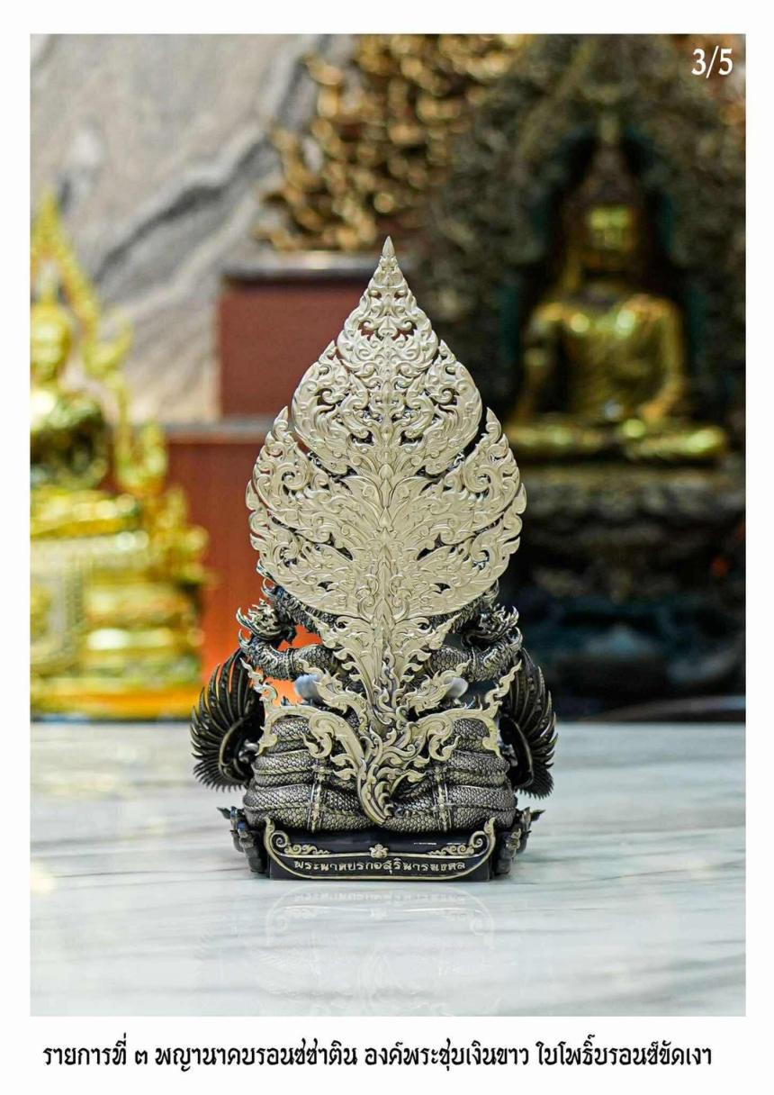 เปิดจอง “พระนาคปรก อสุรินนารทมงคล”