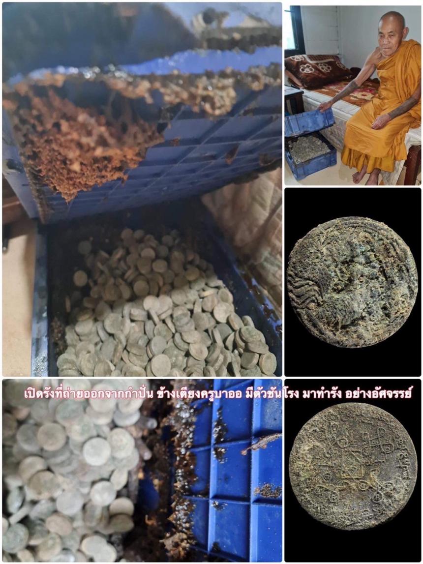 นกยูงคำ กรุกำปั่นพบในกุฎิครูบาออ เสก 4 ปี ตั้งแต่ปี 2556 ถึง 2559  มีคราบน้ำมนต์และว่านยาทุกองค์ บูชาได้ครับ