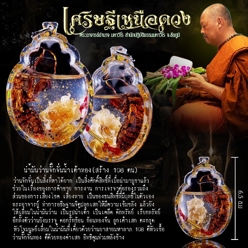 พระอาจารย์อำนาจ มหาวีโร สำนักปฏิบัติธรรมมหาวีโร จ.ชัยภูมิ เปิดจองครับ