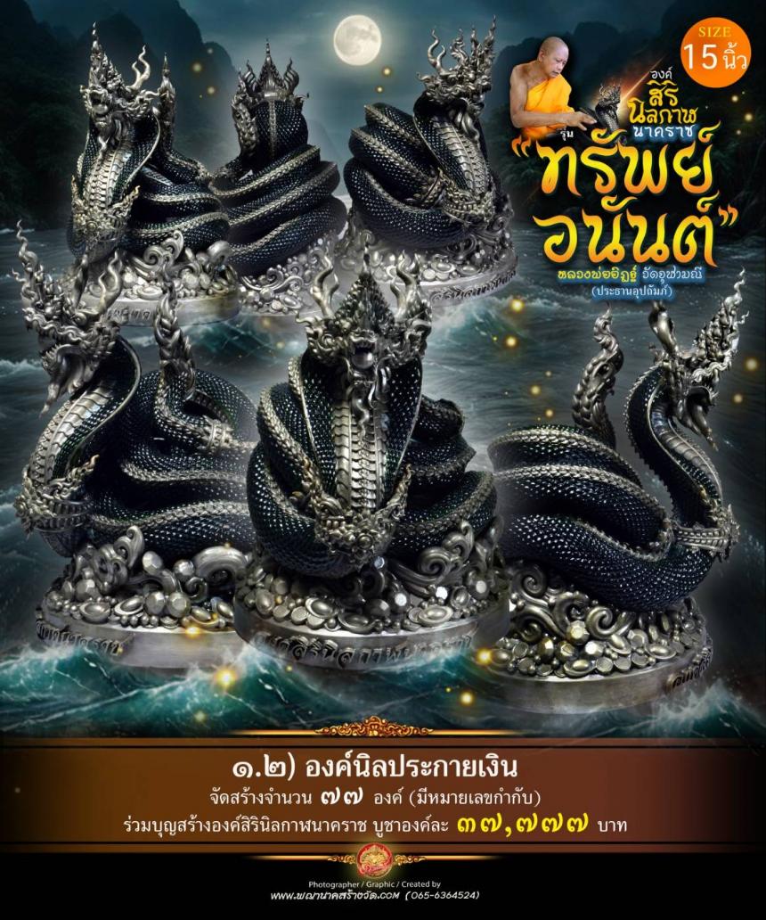องค์เทวปฏิมาพุทธศิลป์นาคราช