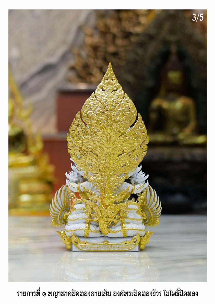 เปิดจอง “พระนาคปรก อสุรินนารทมงคล”