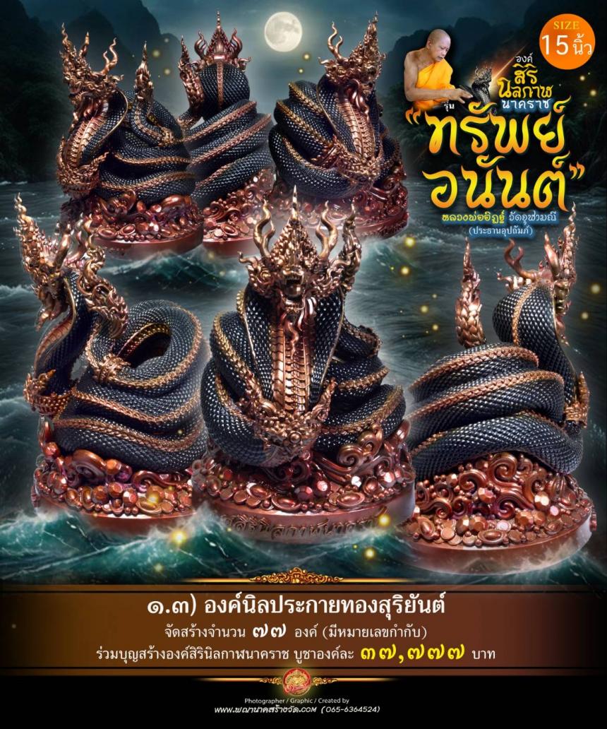 องค์เทวปฏิมาพุทธศิลป์นาคราช