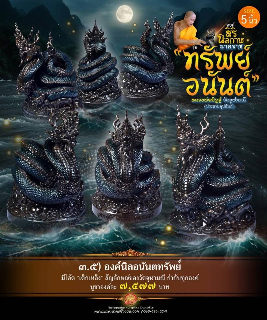องค์เทวปฏิมาพุทธศิลป์นาคราช
