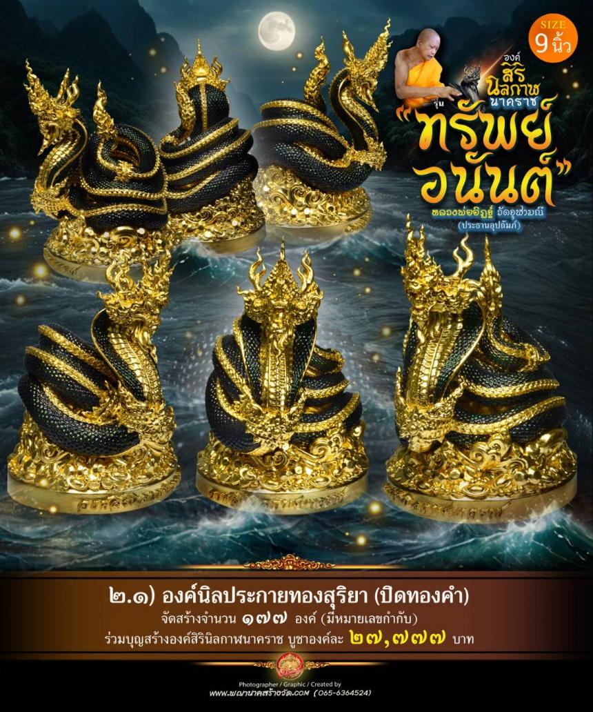 องค์เทวปฏิมาพุทธศิลป์นาคราช
