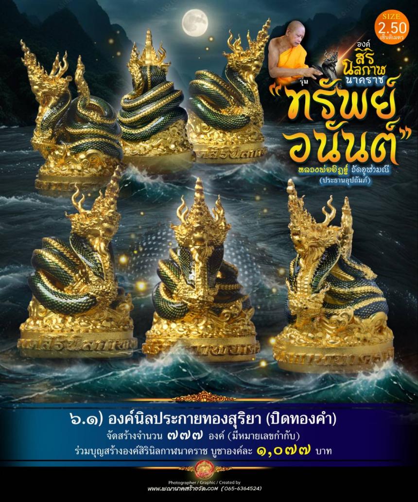 องค์เทวปฏิมาพุทธศิลป์นาคราช