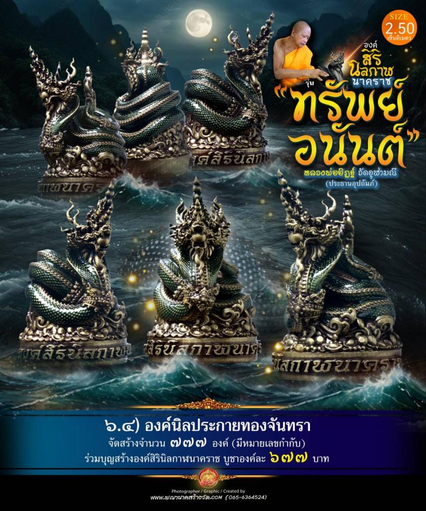 องค์เทวปฏิมาพุทธศิลป์นาคราช