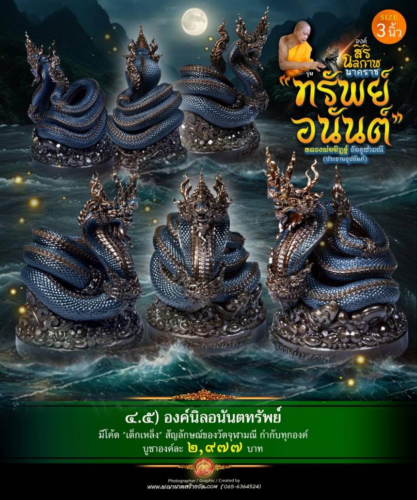 องค์เทวปฏิมาพุทธศิลป์นาคราช