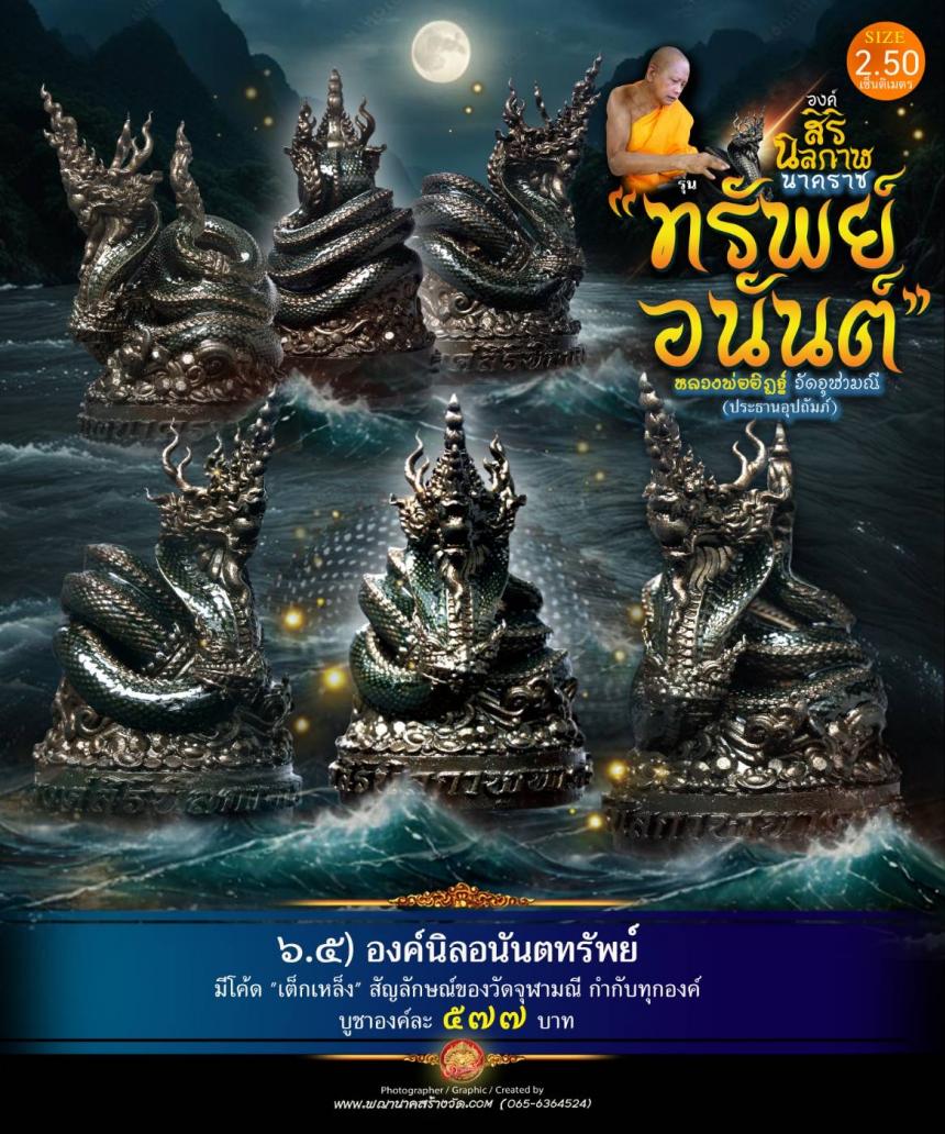 องค์เทวปฏิมาพุทธศิลป์นาคราช
